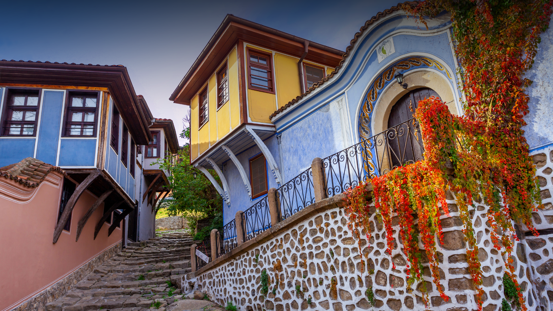 VIP Nationwide Transfers In Bulgaria